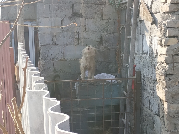 Юрия Кузьминых