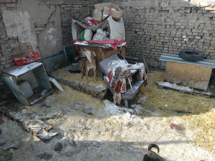 Юрия Кузьминых