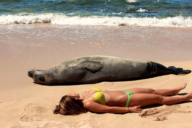 из Интернета