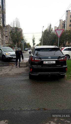 читателя 24-kg.com