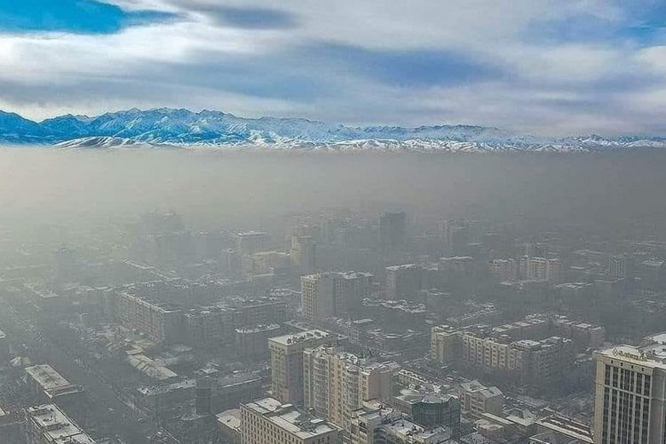 из интернета