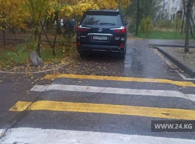 читателя 24-kg.com