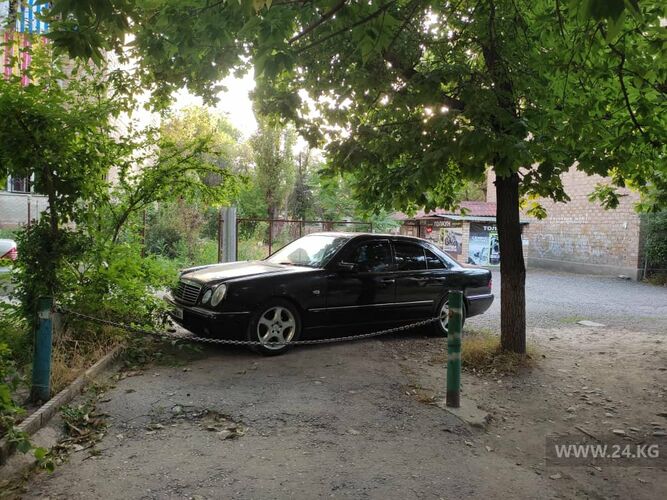 читателя 24-kg.com