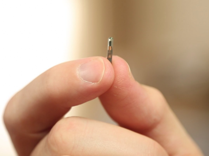 из интернета