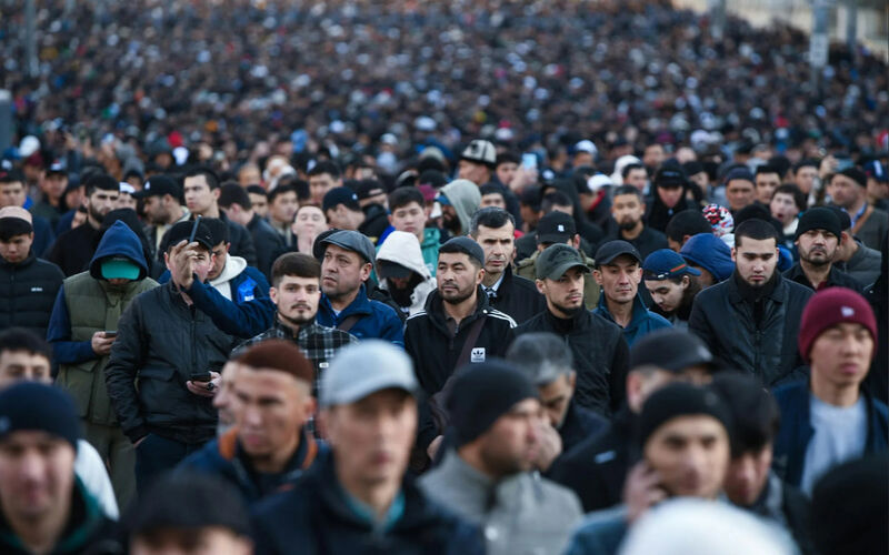 иллюстративное