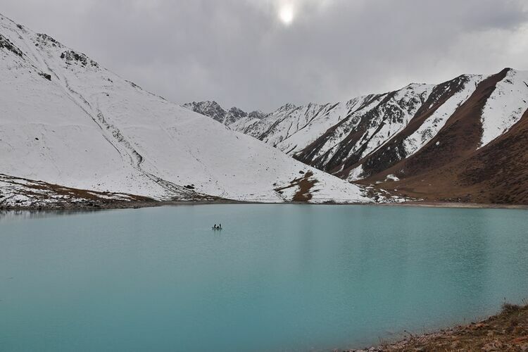 Евгения Липкина