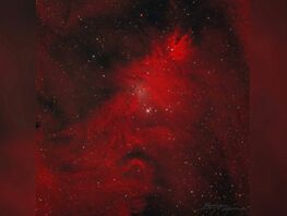 &laquo;Роскосмос&raquo; опубликовал фото туманности, которую называют &laquo;Рождественская елка&raquo; 