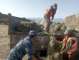 Что за&nbsp;дикость? Садыр Жапаров просит кыргызстанцев бороться с&nbsp;браконьерами 