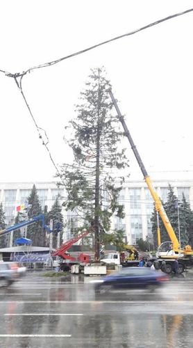  из Интернета