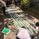 Фото ГКНБ. Начальник лесхоза пойман на взятке в Чаткальском районе