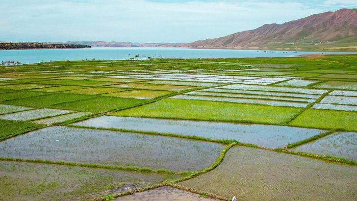 Минсельхоза