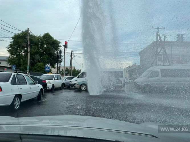 читателя 24-kg.com