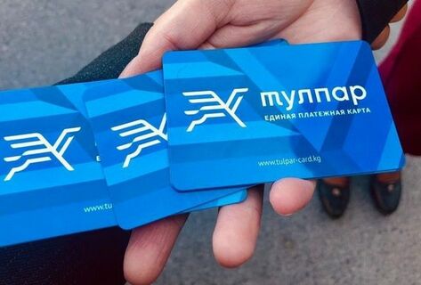 Проект &laquo;Тулпар&raquo;. За&nbsp;год в&nbsp;Бишкеке выдали более 20&nbsp;тысяч льготных карт 