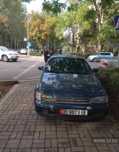 читателя 24-kg.com