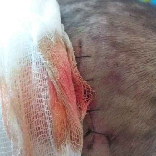 из соцсетей