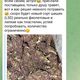 Фото читателя 24-kg.com. Telegram-канал наркоторговцев