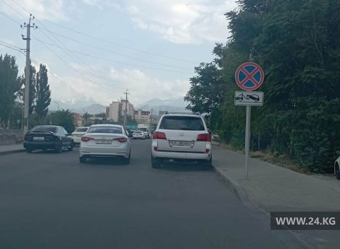 читателя 24-kg.com