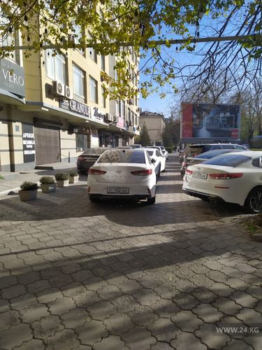 читателя 24-kg.com