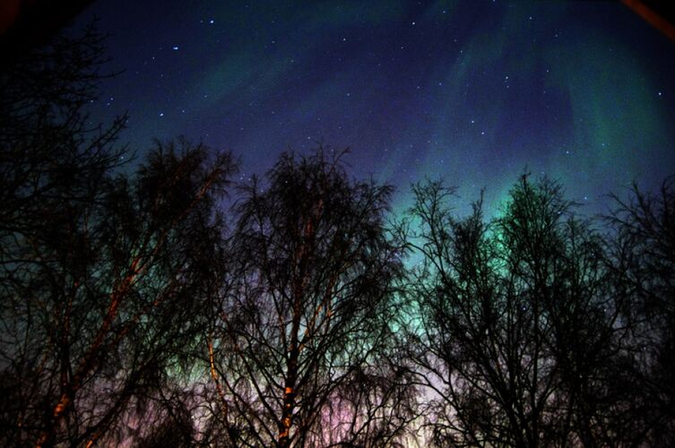 из интернета