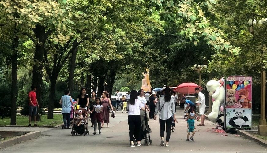 из интернета