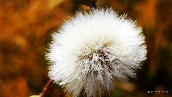 Озеро Кель-Суу и&nbsp;ноябрьский Бишкек. Фото и&nbsp;видео читателей 24-kg.com 