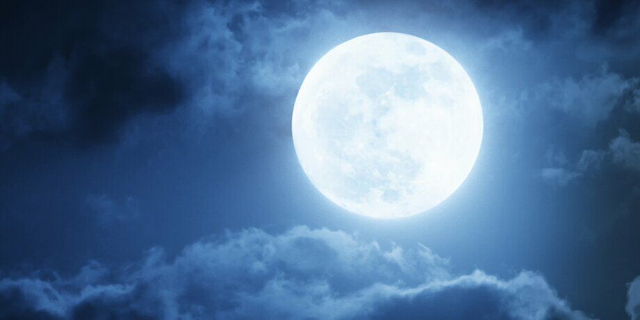 иллюстративное