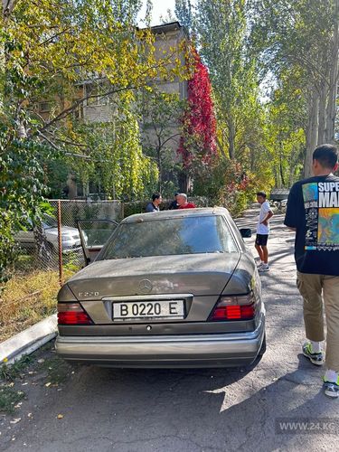 читателя 24-kg.com