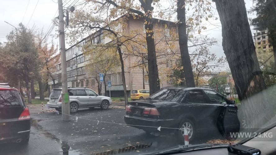 читателя 24-kg.com