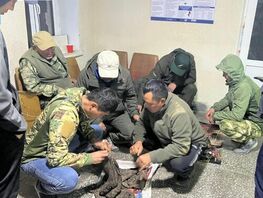 Нарында мыйзамсыз кийик аткандарга айып салынды 
