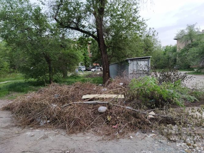 читателя 24-kg.com