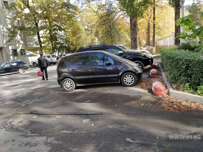 читателя 24-kg.com