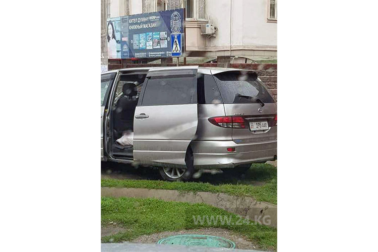 читателя. Чудаки парковки