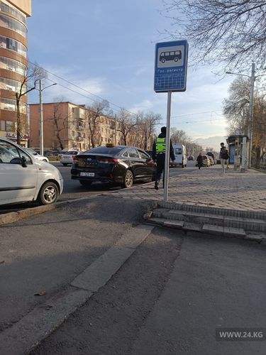 читателя 24-kg.com