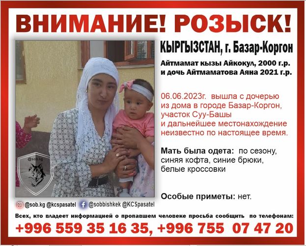 Совета общественной безопасности
