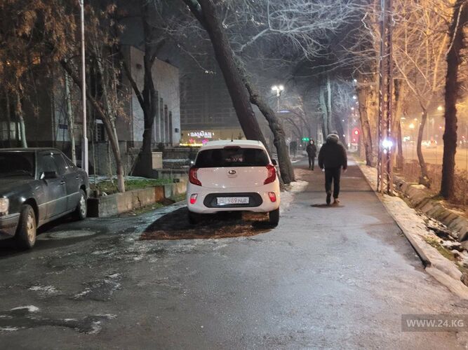 читателя 24-kg.com