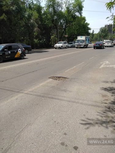 читателя 24-kg.com