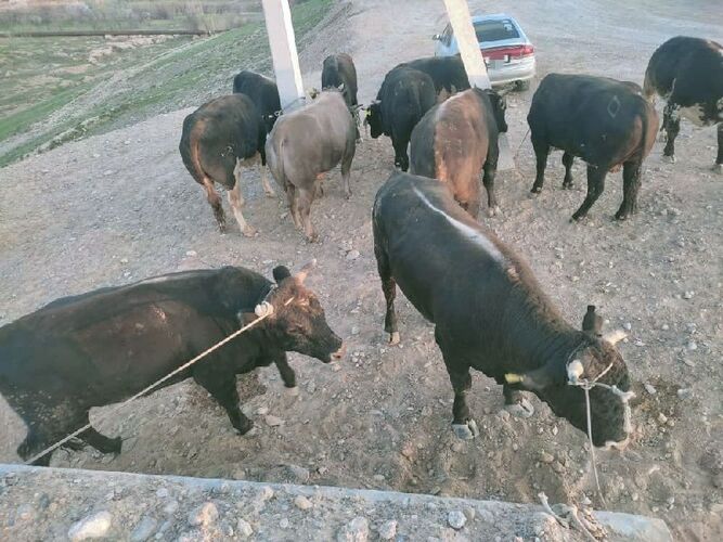 пресс-службы Пограничной службы ГКНБ