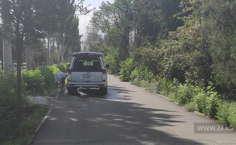 читателя 24-kg.com