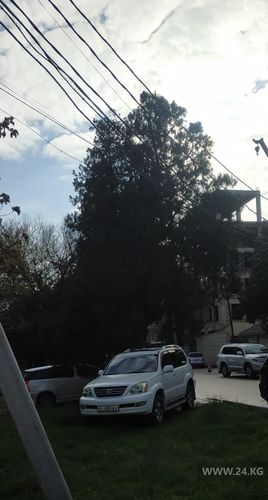 читателя 24-kg.com