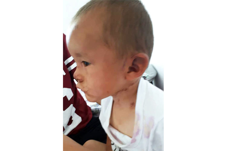 из Интернета