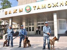 Мамлекеттик бажы кызматы 47&nbsp;жаңы кызматкер менен толукталды 