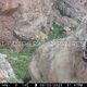Фото Минприроды. Заповедные животные