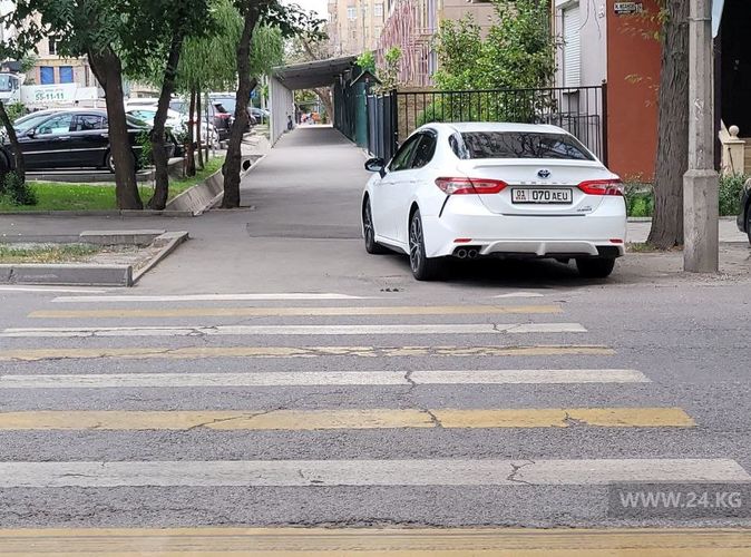 читателя 24-kg.com