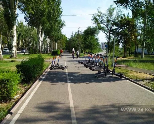 читателя 24-kg.com