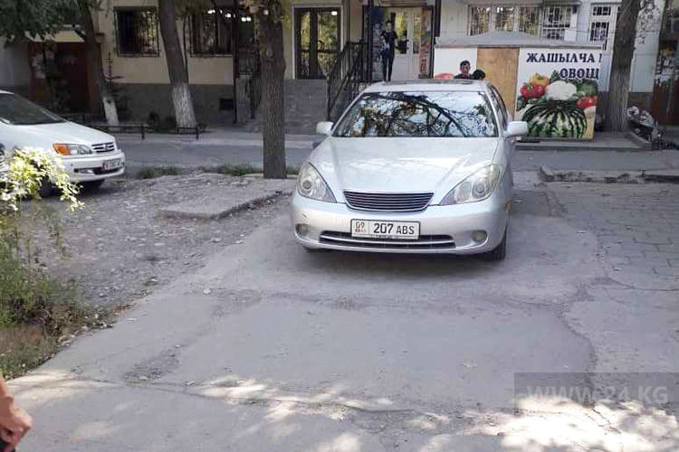 читателя. Чудаки парковки