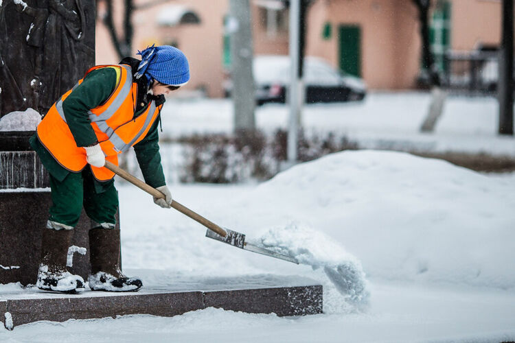иллюстративное