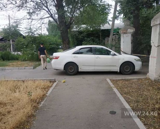 читателя 24-kg.com