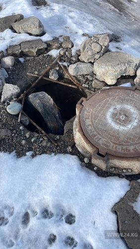 читателя 24-kg.com