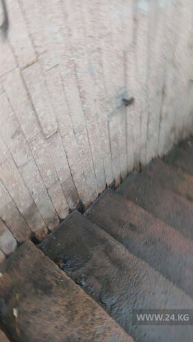 читателя 24-kg.com