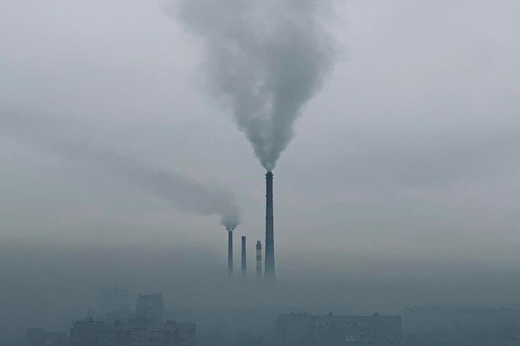 из интернета